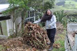 war on weeds